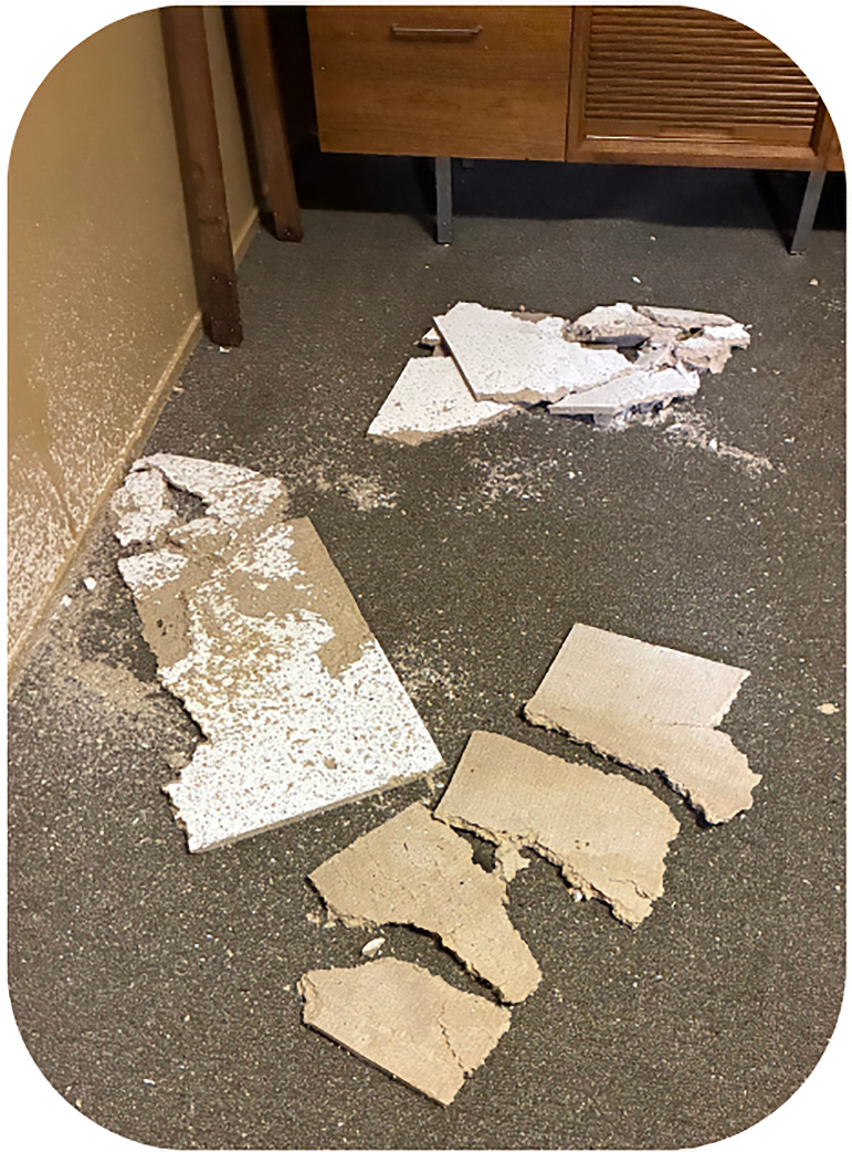 Roof damage