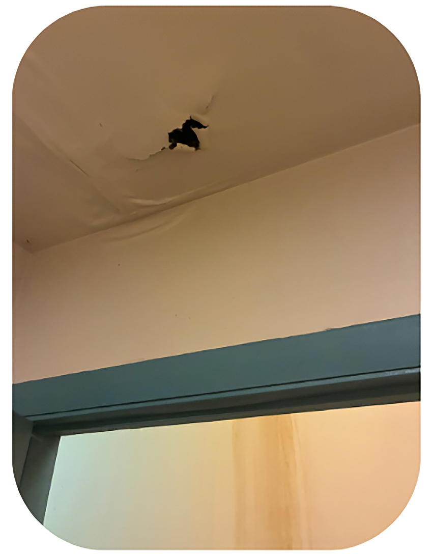 Roof damage